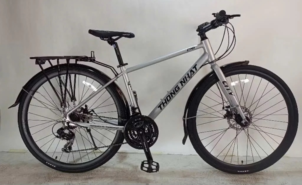 Xe đường phố Touring Thống Nhất Blade 700cc khung nhôm shimano Altus 3x8 ghi trang nhã hót hót