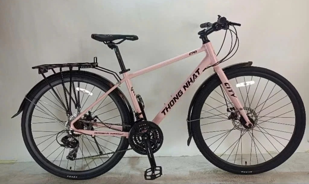 Xe đường phố Touring Thống Nhất Blade 700cc khung nhôm shimano Altus 3x8 hồng mộng mơ mới